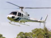 Locação de Helicópteros para Casamentos e Eventos