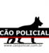 Aluguel e Locação de Cães de Guarda em Belo Horizonte