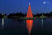 Aluguel de Árvore de Natal em Mairiporã - SP