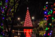 Aluguel de Árvore de Natal em Mairiporã - SP