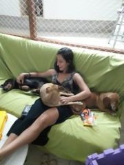 Hospedagem para Animais em Belo Horizonte - MG