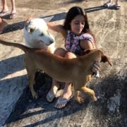 Hospedagem para Animais em Belo Horizonte - MG