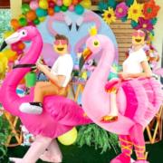 Flamingos cover personagens vivos festa animação