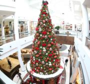 Aluguel de árvore de Natal e decorações natalinas 