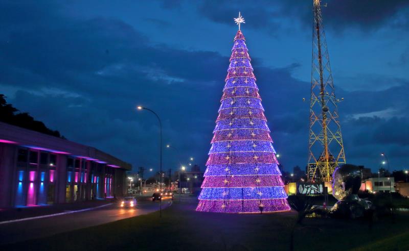 Locação de árvore de Natal em São Paulo