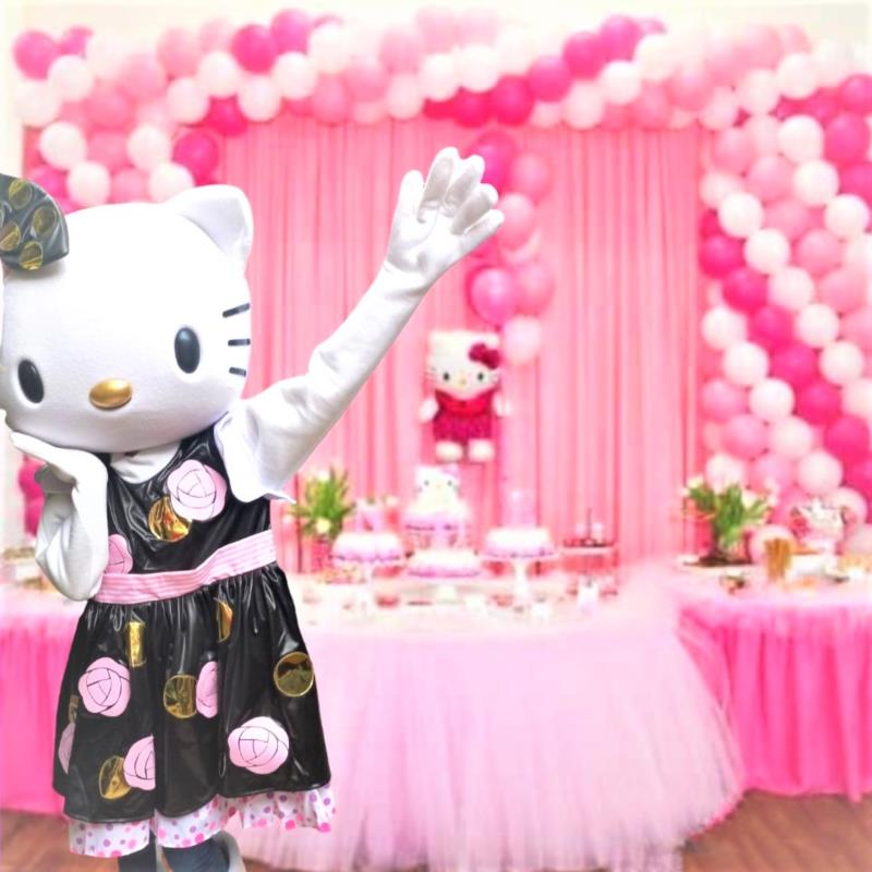 FANTASIA REALISTA PERSONAGEM VIVO - MASCOTE FESTA VENDA HELLO KITTY - Loja  de FANTASIASBH